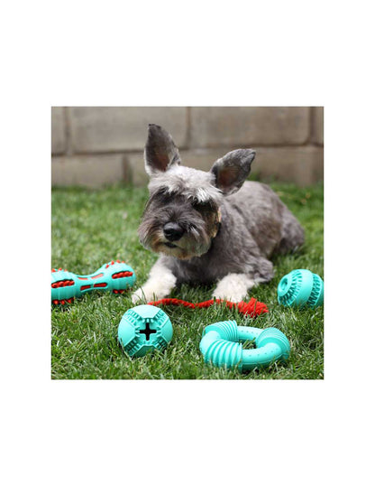 BRNX Pelota Dispensadora de Premios Verde