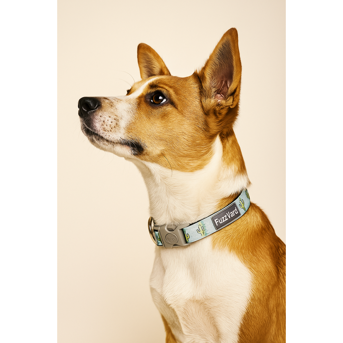 Collar Tucson FuzzYard