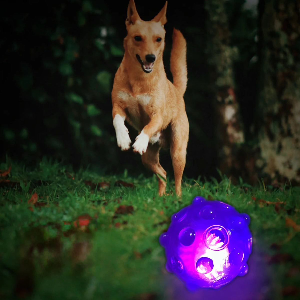 Pelota Interactiva con Luz y Rebote Irregular para Perros – 9 cm