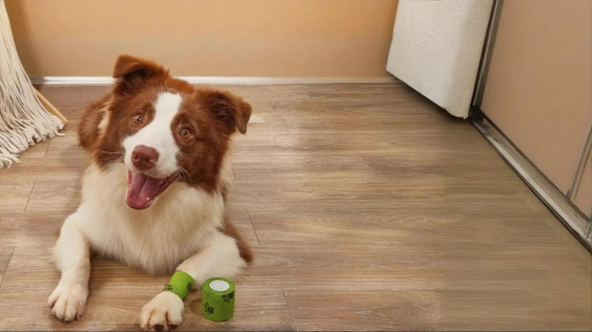 Venda Autoadhesiva Huellitas para Perros y Gatos